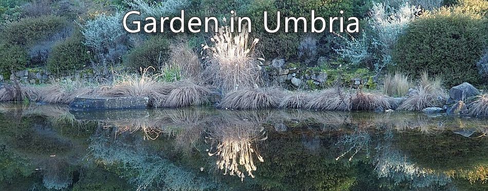 A Garden in Umbria