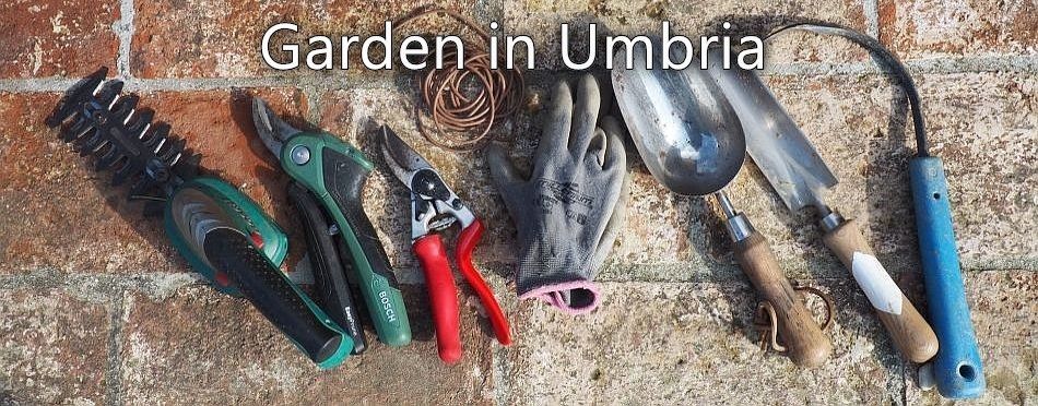 Garden in Umbria