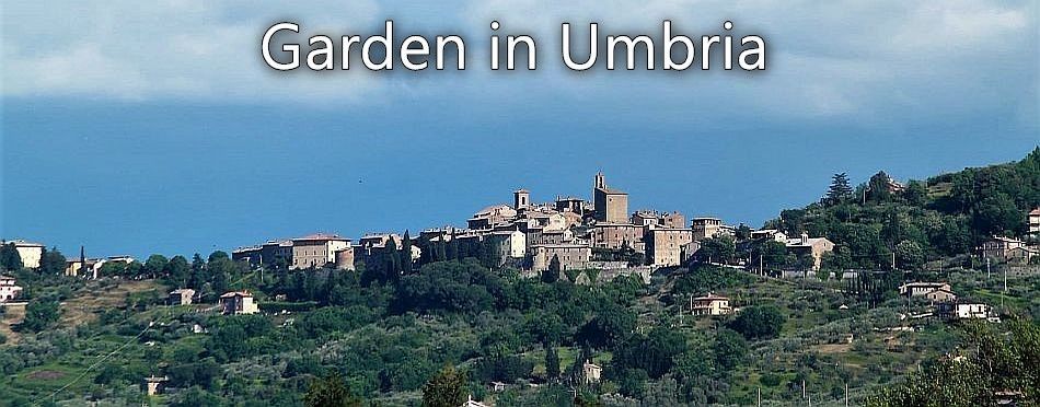 Garden in Umbria - the hilltop town of Panicale 