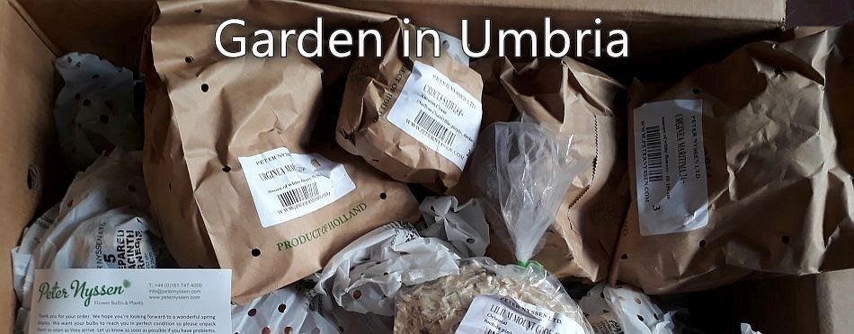 Garden in Umbria - Jobs to do now