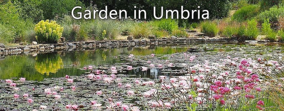 A Garden in Umbria